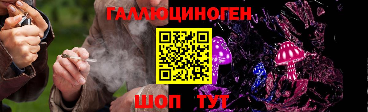 Галлюциногенные грибы Cubensis  Вход с VPN  Псилоцибиновые грибы Psilocybe  Новошахтинск 