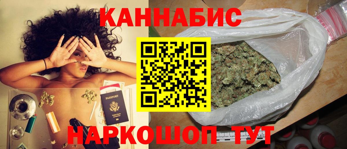 Бошки марихуана сатива Новошахтинск